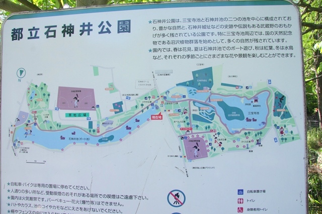 石神井公園のマップ