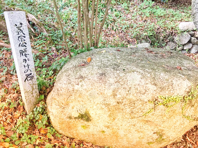 両新田神社の義宗公腰かけの石