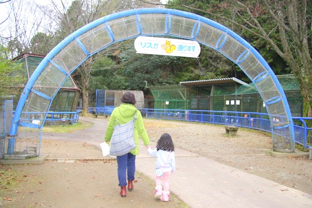 福知山動物園のリス
