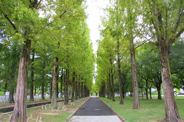 花博記念公園鶴見緑地