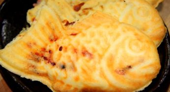 岡山県 おでかけぶろぐ