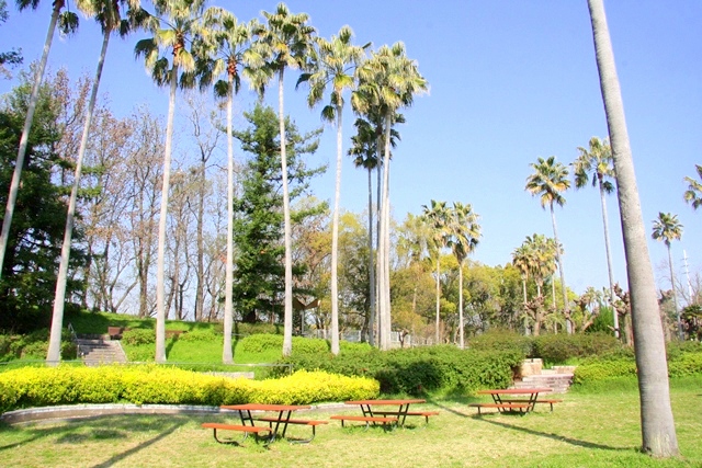 花博記念公園鶴見緑地 山のエリア、国際庭園のカリフォルニア庭園