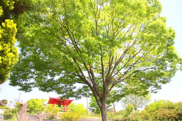 花博記念公園鶴見緑地 山のエリア、国際庭園
