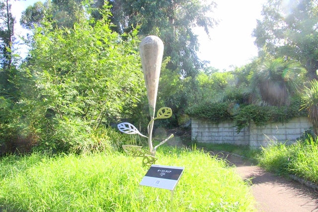 花博記念公園鶴見緑地、国際庭園内のオーストラリア庭園