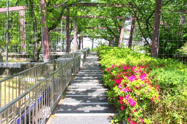 花博記念公園鶴見緑地 山のエリア、国際庭園のイタリア庭園