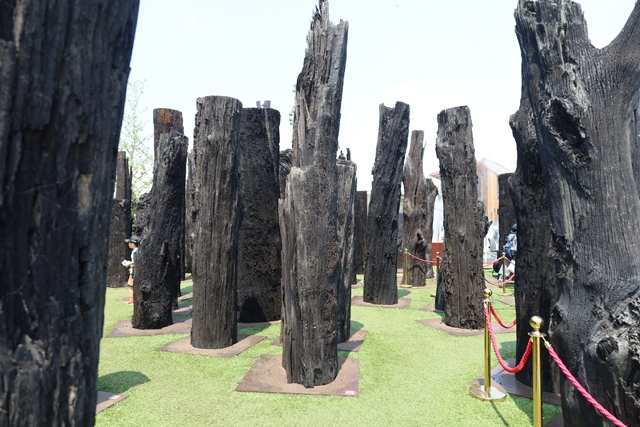 大阪万博 文明の森 THE STORY OF A TREE 非売品 万博非売品】THE STORY OF A TREE